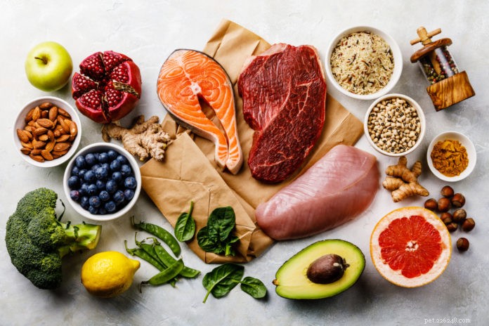 Eliminate Your Dog’s Food Allergies with a Proven Elimination Diet