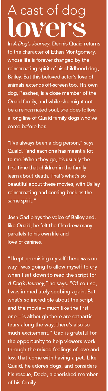 Odin Stars as Bailey in  A Dog s Journey : A Heartwarming Sequel to  A Dog s Purpose 