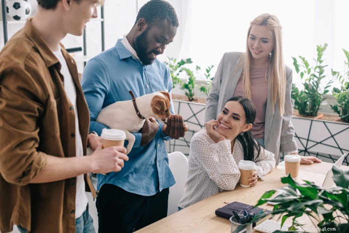 Top 5 Business Benefits of Bringing Your Dog to Work
