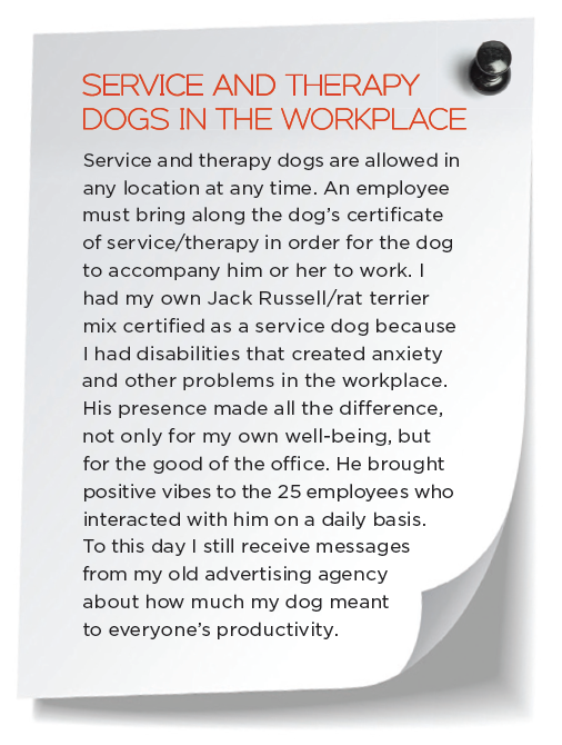 Top 5 Business Benefits of Bringing Your Dog to Work