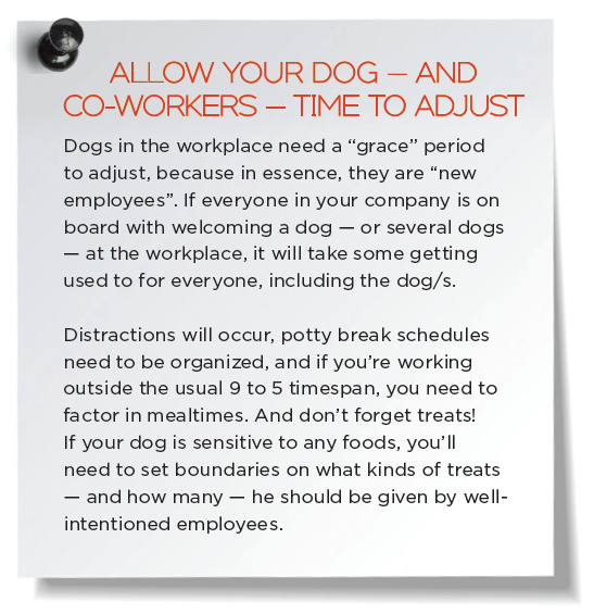 Top 5 Business Benefits of Bringing Your Dog to Work