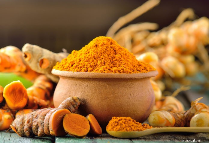 Top 5 Herbal Remedies for Managing Your Dog s Arthritis