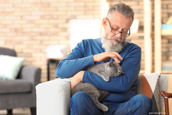Acupressure for Pets: Relieving Arthritis Pain in Dogs and Cats