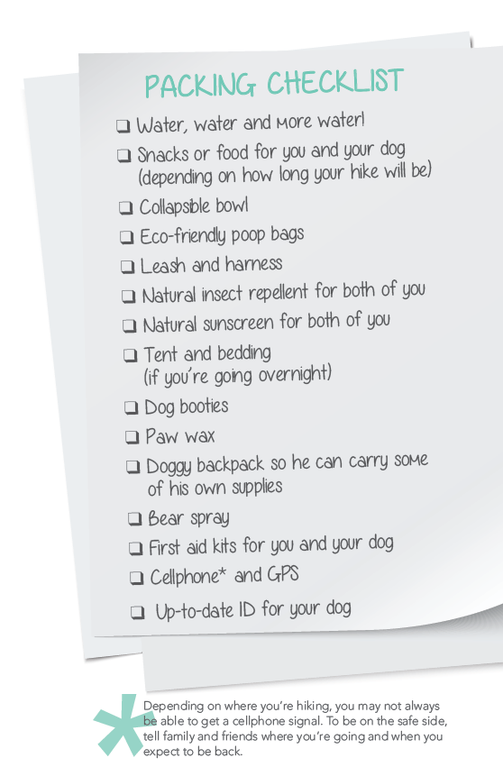 Long-Distance Hiking with Your Dog: A Complete Safety & Comfort Guide