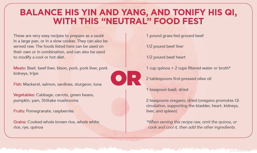 Boost Your Dog’s Health with TCM-Approved Cooling & Warming Foods