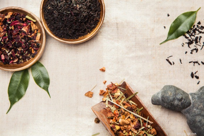 Boost Your Dog’s Health with TCM-Approved Cooling & Warming Foods