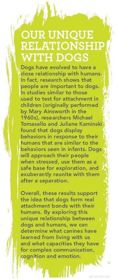 Inside Your Dog’s Mind: What Science Reveals About Canine Cognition & Emotions