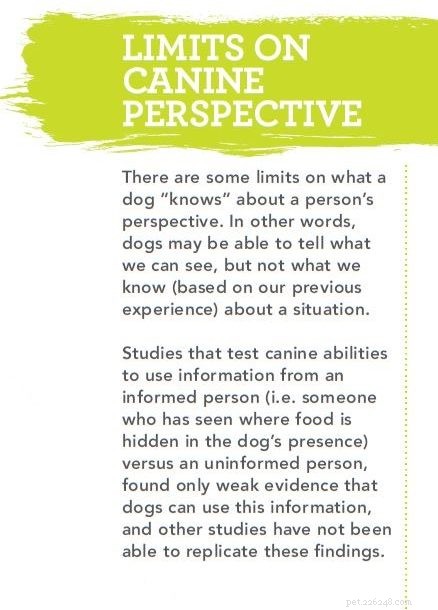 Inside Your Dog’s Mind: What Science Reveals About Canine Cognition & Emotions
