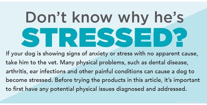 Easily Calm Your Dog’s Stress—Safe, Natural Solutions