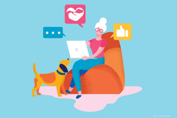 Social Media Saves Dogs: How Rescues Use Digital Platforms