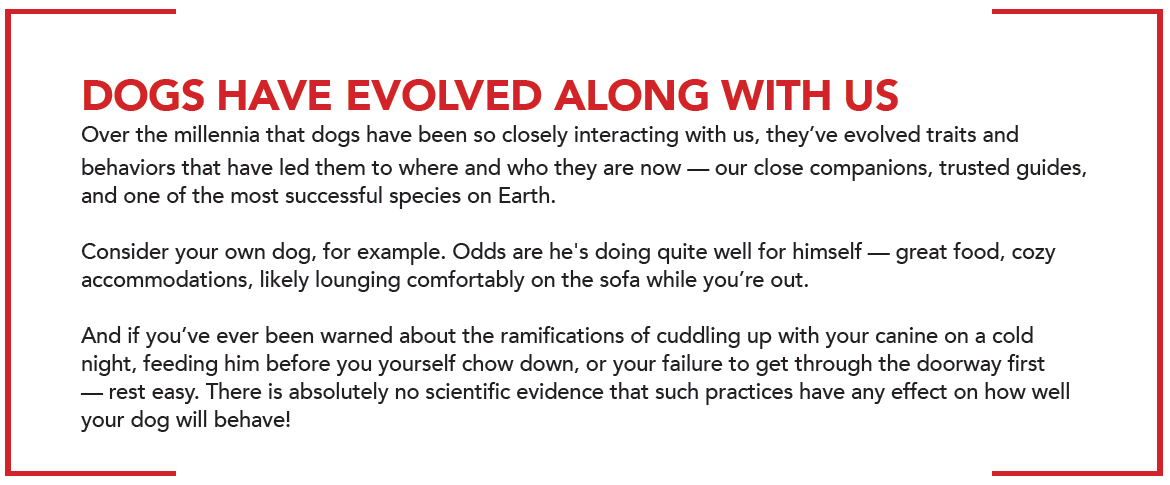 Why Dominance-Based Dog Training Is a Myth: Embrace Positive, Proven Methods