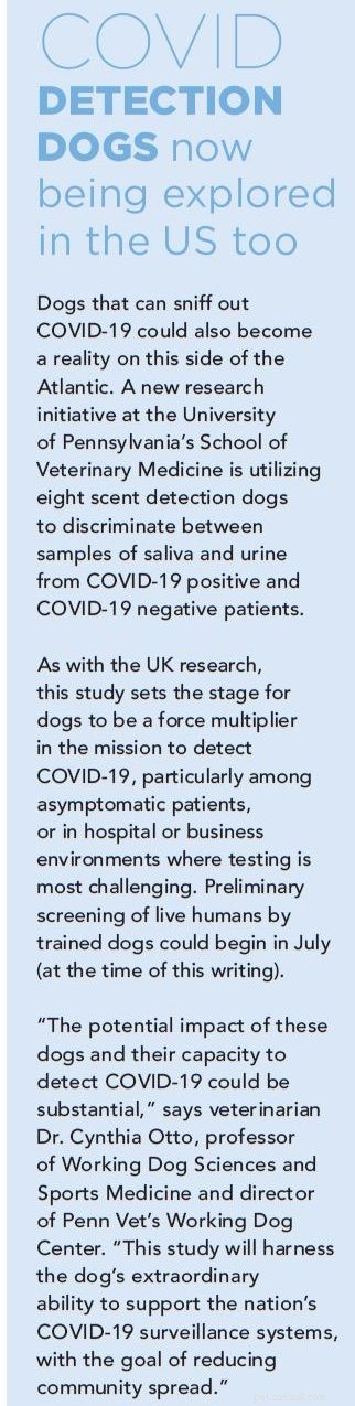 Canine Teams Trained to Detect COVID-19: A Promising New Tool