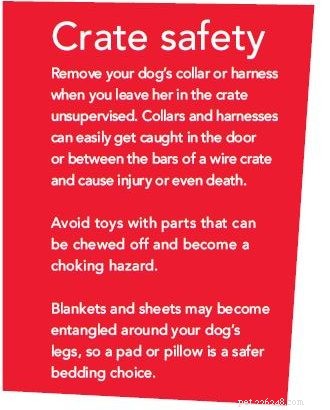 Why Crate Training Is Essential for Your Dog’s Safety and Happiness