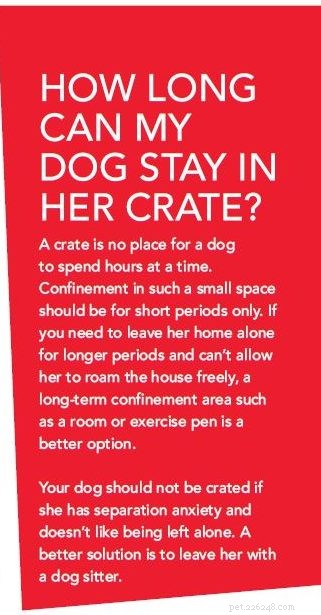 Why Crate Training Is Essential for Your Dog’s Safety and Happiness