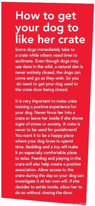Why Crate Training Is Essential for Your Dog’s Safety and Happiness