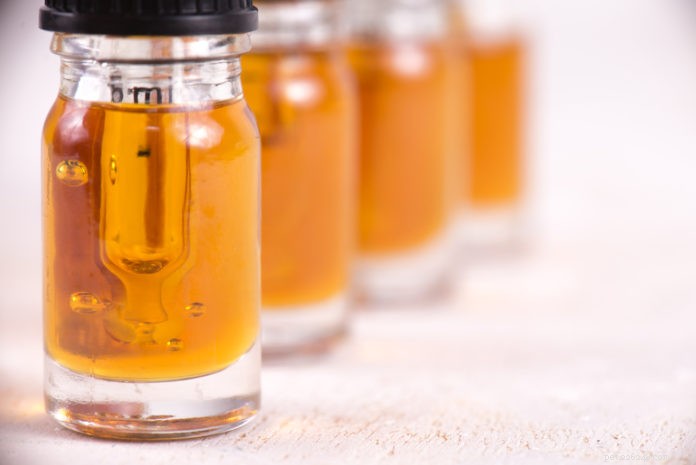 Can CBD Reduce Seizures in Dogs? An Expert Review