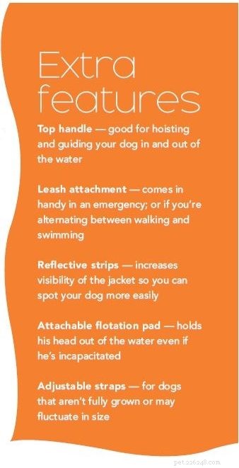 Choosing the Ideal Lifejacket for Your Dog: Safety First