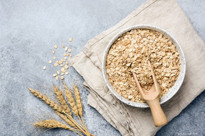Top 10 Superfoods for Your Dog’s Healthy Skin and Shiny Coat