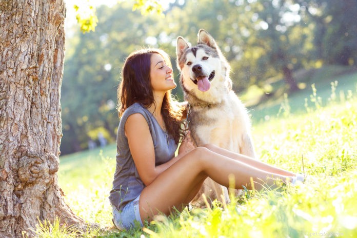Master Dog Socialization: 3 Proven Steps for a Confident, Well-Behaved Companion