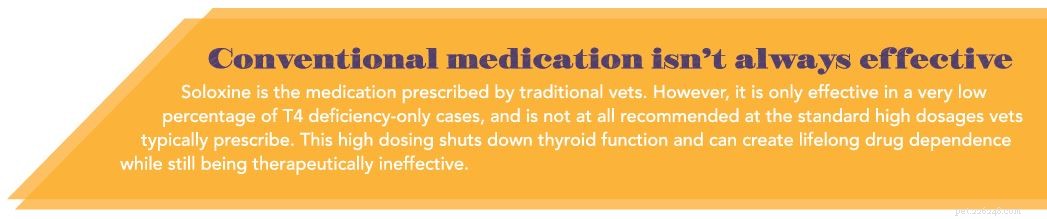 Managing Your Dog s Thyroid: Spotting and Treating Hypothyroidism