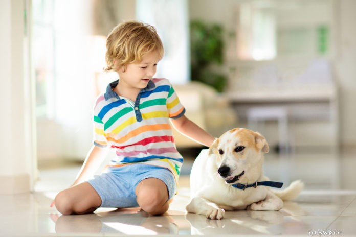 How to Help Your Dog Feel Comfortable Around Kids