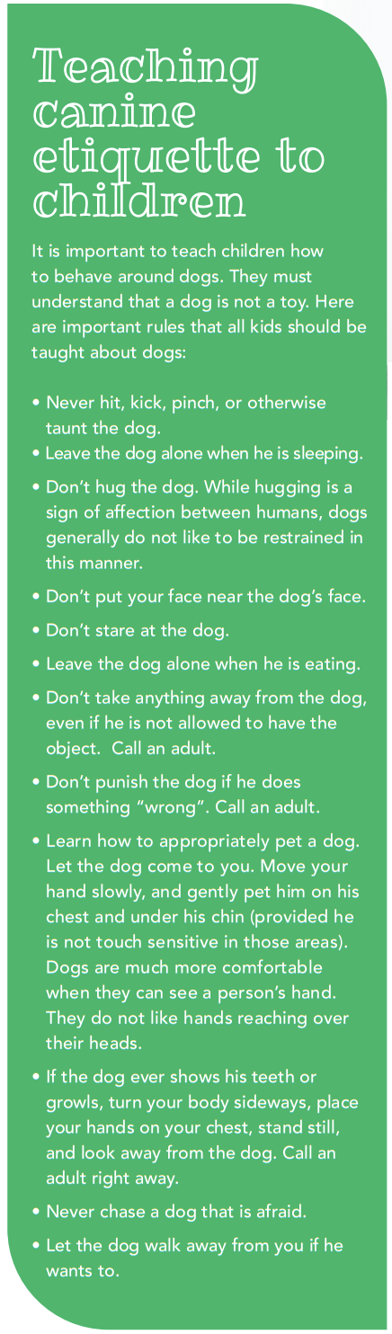 How to Help Your Dog Feel Comfortable Around Kids