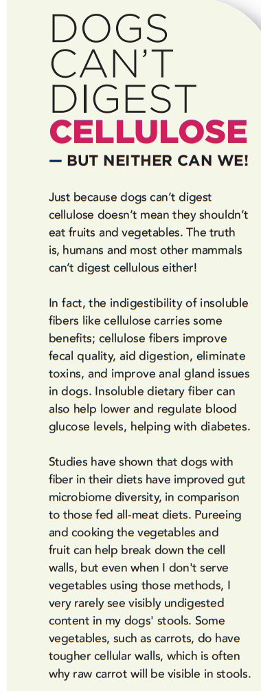 Boost Your Dog’s Health: The Essential Guide to Adding Fruits & Veggies