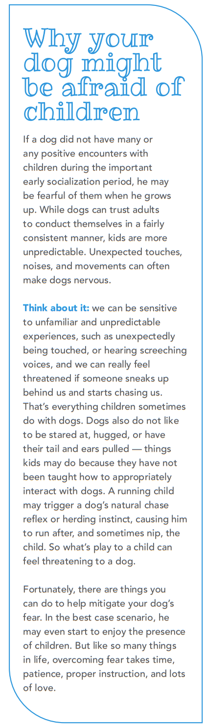 How to Help Your Dog Feel Comfortable Around Kids