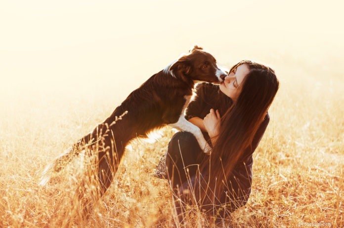 DoggyStat: Fast, Safe Relief for Non‑Infectious Canine Diarrhea