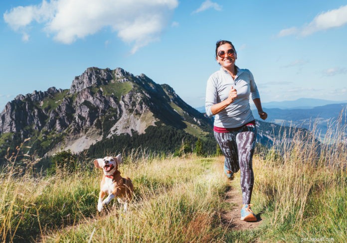 How to Safely Integrate Your Dog into Your Exercise Routine