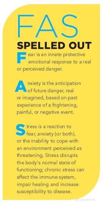 Fear Free®: Reducing Anxiety for Pets and Owners During Vet Visits