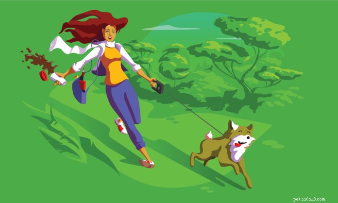 Train Your Dog to Walk Calmly: Stop Pulling in 5 Easy Steps