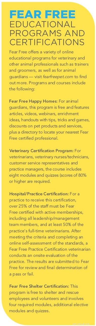 Fear Free®: Reducing Anxiety for Pets and Owners During Vet Visits