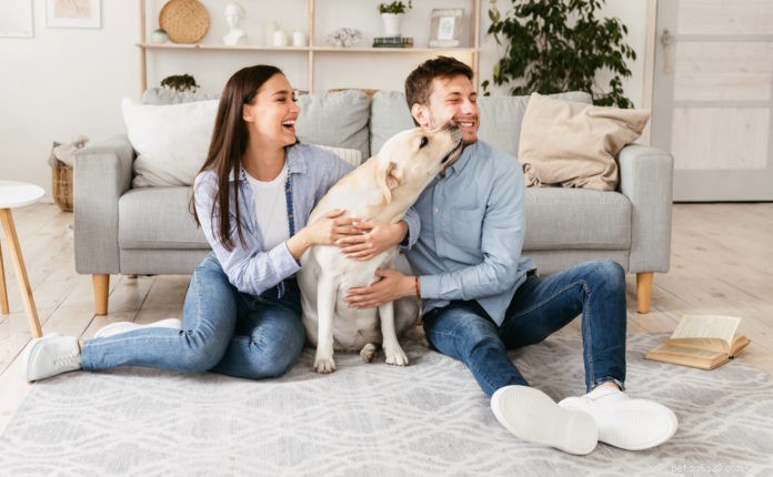 WizSmart Eco-Friendly Pee Pads: Sustainable, Safe, and Effective for Pets and Your Home