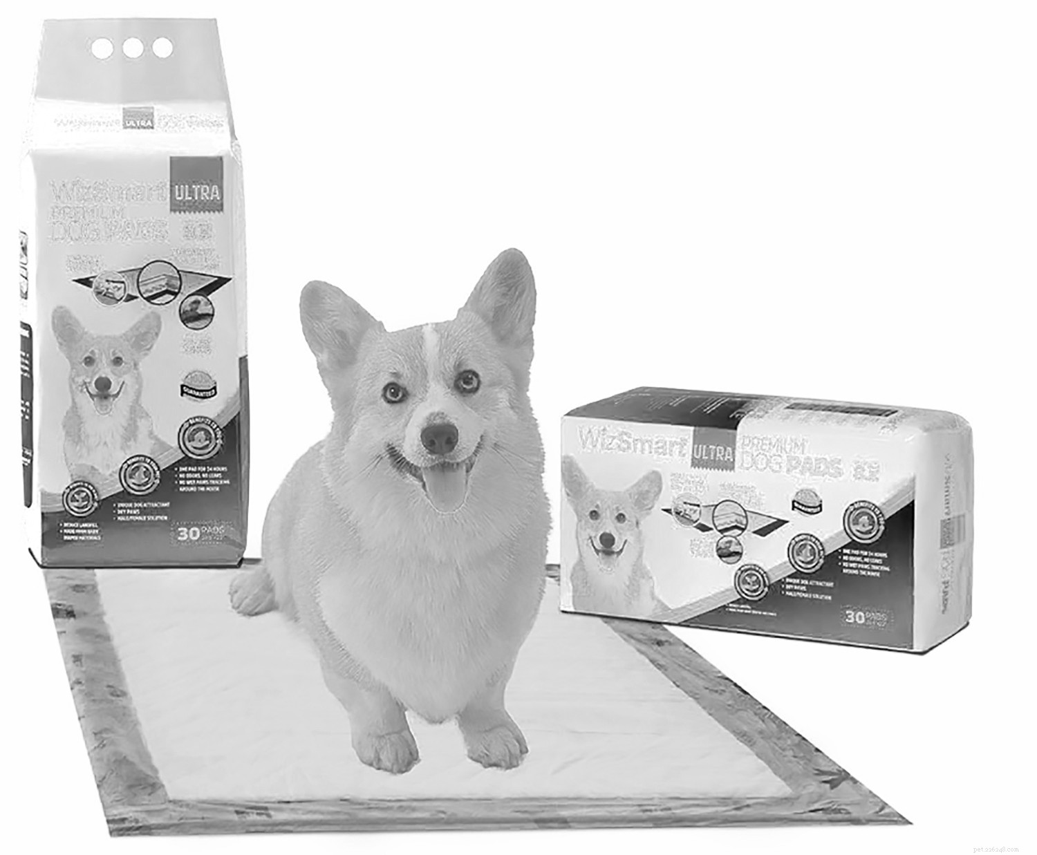 WizSmart Eco-Friendly Pee Pads: Sustainable, Safe, and Effective for Pets and Your Home
