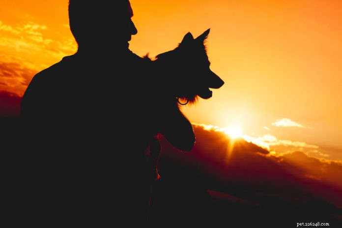 How a Bearded Collie Helped Her Human Overcome Depression After 9/11