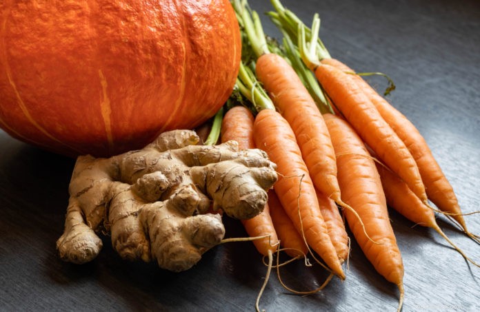 6 Proven Foods to Keep Worms Out of Your Dog s Gut