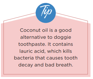 Quick 15‑Minute Weekly Grooming Routine to Keep Your Dog Healthy & Happy
