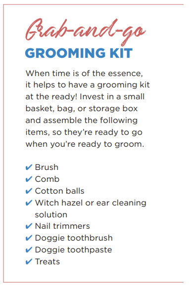 Quick 15‑Minute Weekly Grooming Routine to Keep Your Dog Healthy & Happy
