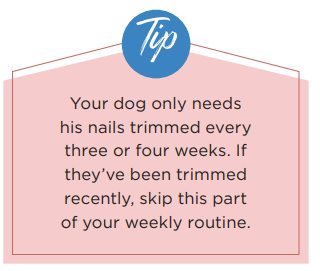 Quick 15‑Minute Weekly Grooming Routine to Keep Your Dog Healthy & Happy