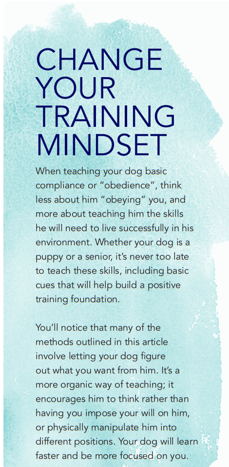 Beyond Obedience: Science-Backed Positive Training for a Well-Rounded Dog