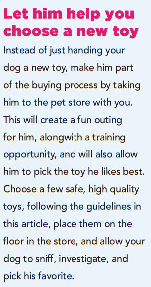 6 Essential Safety Tips for Choosing Dog Toys