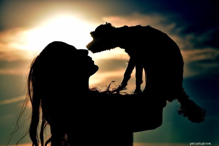 Holistic Veterinarians Partnering with Animal Communicators to Enhance Patient Care