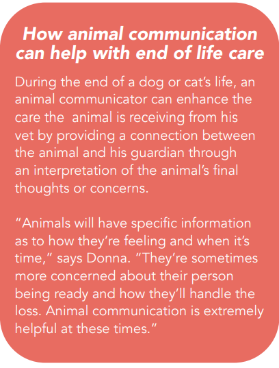 Holistic Veterinarians Partnering with Animal Communicators to Enhance Patient Care