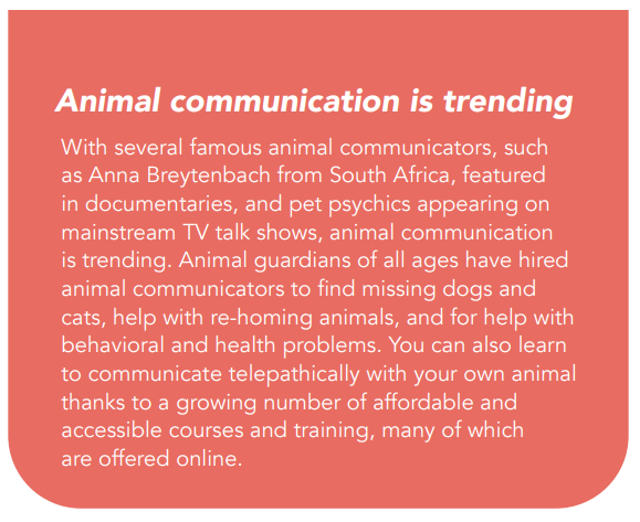 Holistic Veterinarians Partnering with Animal Communicators to Enhance Patient Care