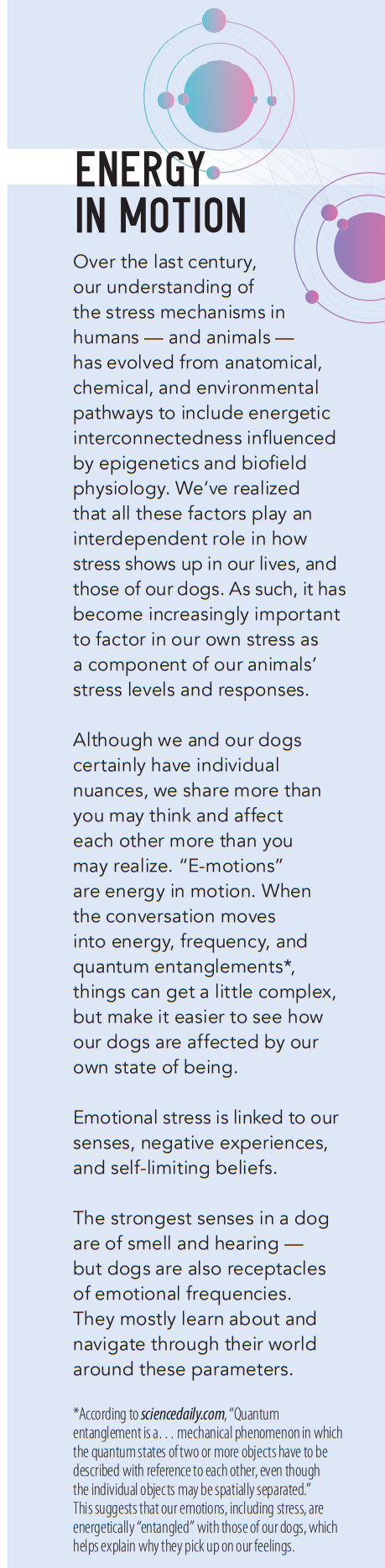 Understanding and Managing Emotional Stress in Dogs