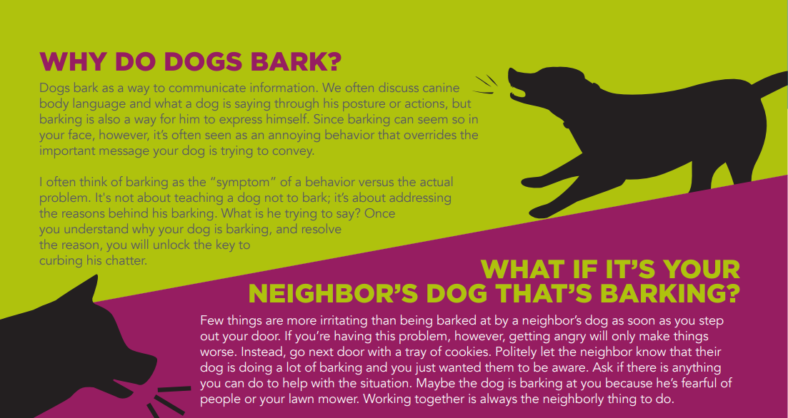 How to Quiet an Over‑Barking Dog: Proven Tips & Solutions