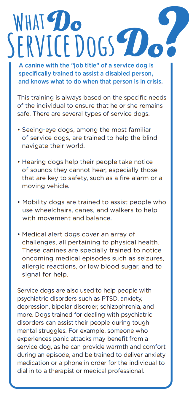 Best Service Dog Breeds: Choosing the Right Companion