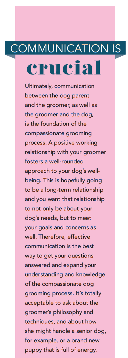 Trusted Compassionate Dog Grooming: Expert Care for Your Pet