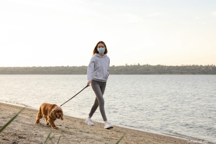 Safe Dog Walking: 5 Proven Social Distancing Tips
